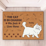 Custom Cat Lover Gifts for Cat Owners - Personalized Doormat
