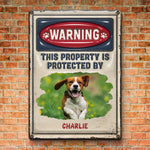 Custom Pet Photo Dog Warning Decor - Personalized Metal Sign