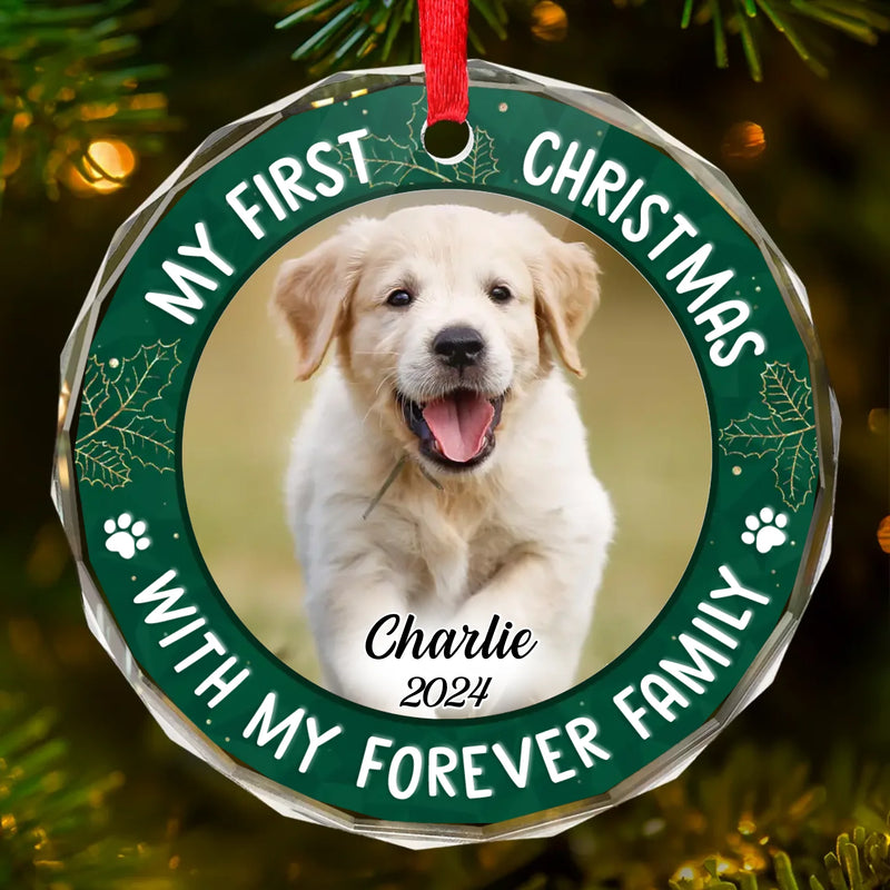 Custom Photo Joy To The World, My Pet Has Come - Dog & Cat Personalized Custom Circle Glass Ornament - Christmas Gift For Pet Owners, Pet Lovers, First Christmas