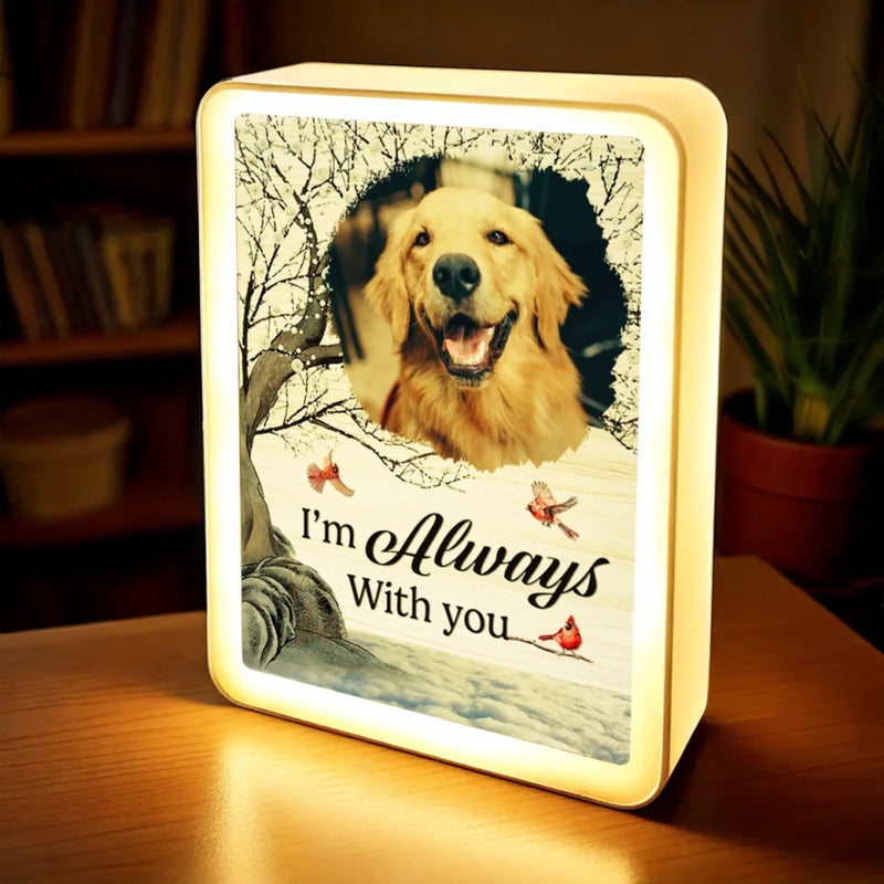 Custom Photo Gone But Never Forgotten, Always Loved - Memorial Personalized Custom LED Mirror Frame Lamp - Sympathy Gift For Pet Owners, Pet Lovers