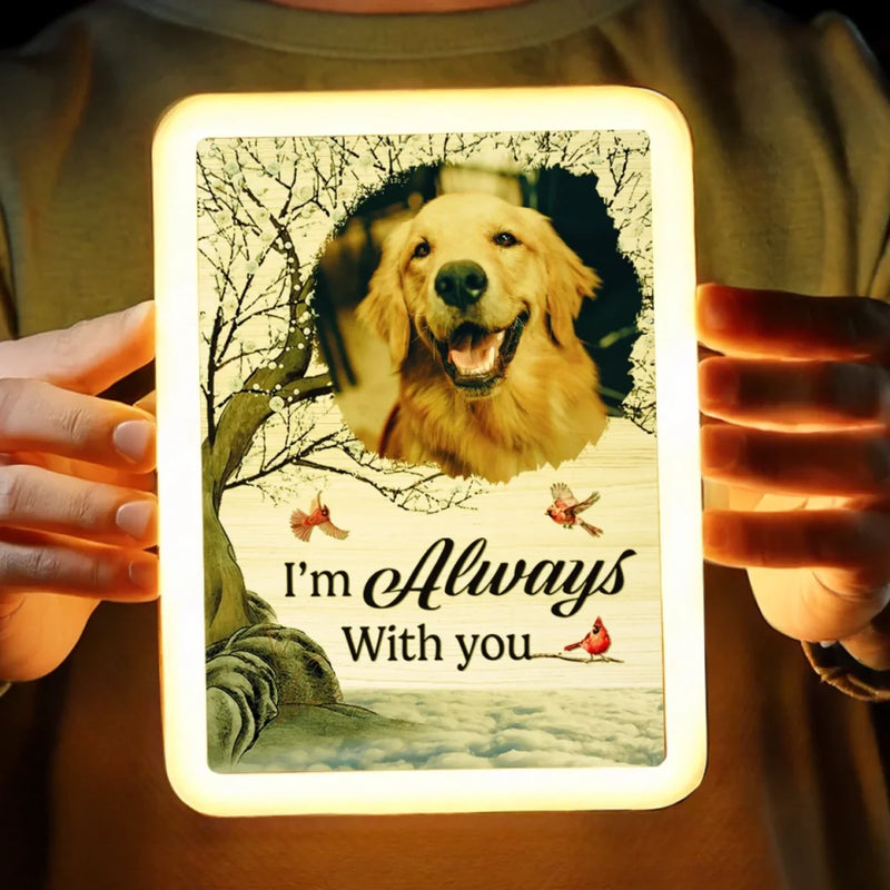 Custom Photo Gone But Never Forgotten, Always Loved - Memorial Personalized Custom LED Mirror Frame Lamp - Sympathy Gift For Pet Owners, Pet Lovers