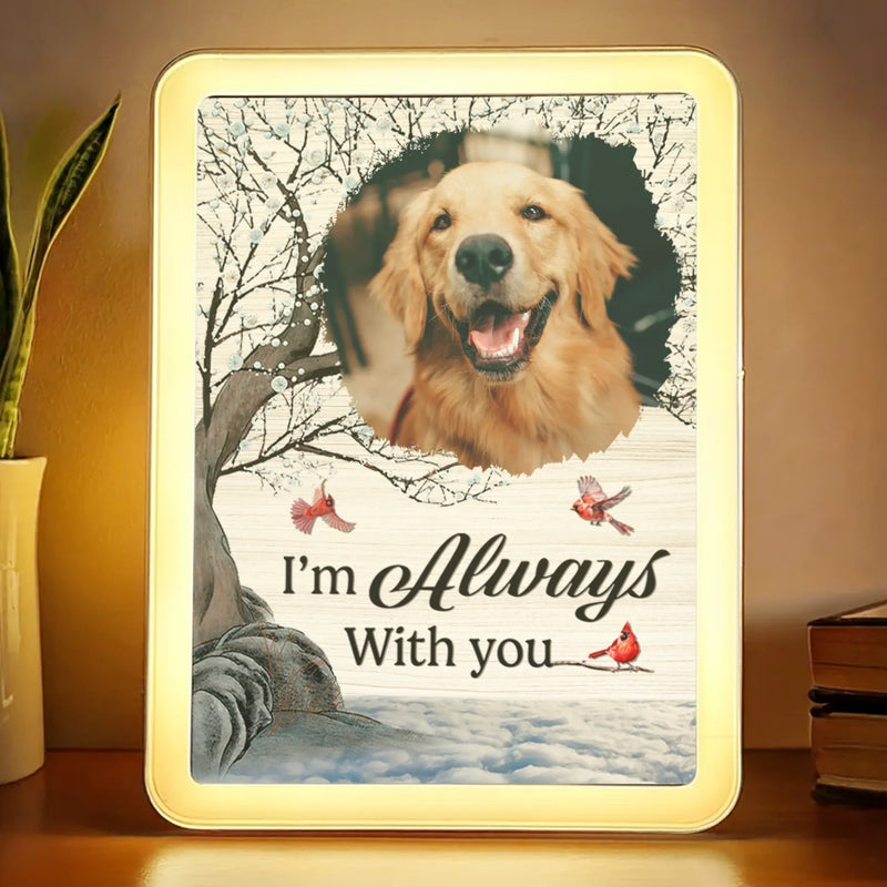 Custom Photo Gone But Never Forgotten, Always Loved - Memorial Personalized Custom LED Mirror Frame Lamp - Sympathy Gift For Pet Owners, Pet Lovers