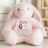 Just A Little Bump Full Of Big Love - Family Personalized Custom Easter Bunny Plush - Mother's Day, Baby Shower Gift, Gift For First Mom