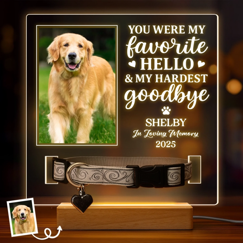 Custom Photo Your Light Will Always Shine In My Heart - Memorial Personalized Custom Pet Loss Memorial Light - Sympathy Gift For Pet Owners, Pet Lovers