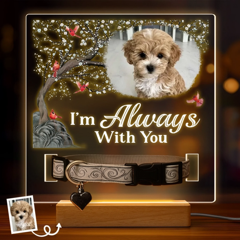 Custom Photo I'm Always With You - Memorial Personalized Custom Pet Loss Memorial Light - Sympathy Gift For Pet Owners, Pet Lovers