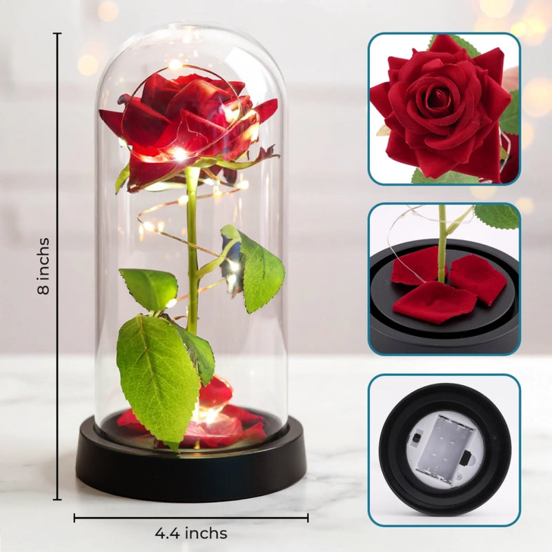 Custom Photo Light Up Eternal Rose In Glass Dome - Personalized Anniversary Wedding Gifts For Husband And Wife, Him And Her - Love In Full Bloom