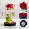 Custom Photo Light Up Eternal Rose In Glass Dome - Personalized Anniversary Wedding Gifts For Husband And Wife, Him And Her - Our Love Shines Forever