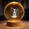 Custom Photo Crystal Globe Lamp - Personalized Pet Memorial Sympathy Gifts For Dogs, Cats - Light Carries Your Spirit