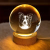 Custom Photo Crystal Globe Lamp - Personalized Pet Memorial Sympathy Gifts For Dogs, Cats - Light Carries Your Spirit