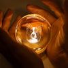Custom Photo Crystal Globe Lamp - Personalized Pet Memorial Sympathy Gifts For Dogs, Cats - Light Carries Your Spirit