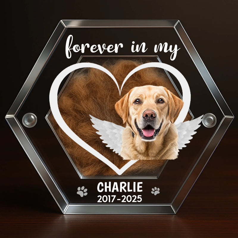 Custom Photo Acrylic Pet Fur Keepsake Box - Personalized Pet Memorial Sympathy Gifts For Dogs, Cats - Forever Loved, Forever Missed