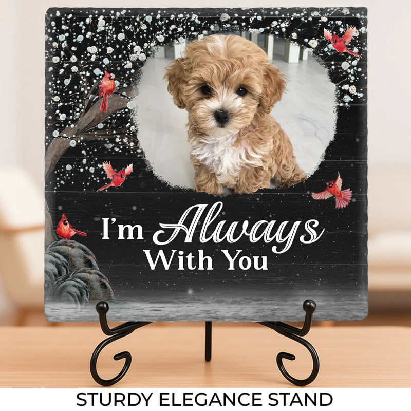 Custom Pet Photo Memorial Dog Gifts - Personalized Stone With Stand