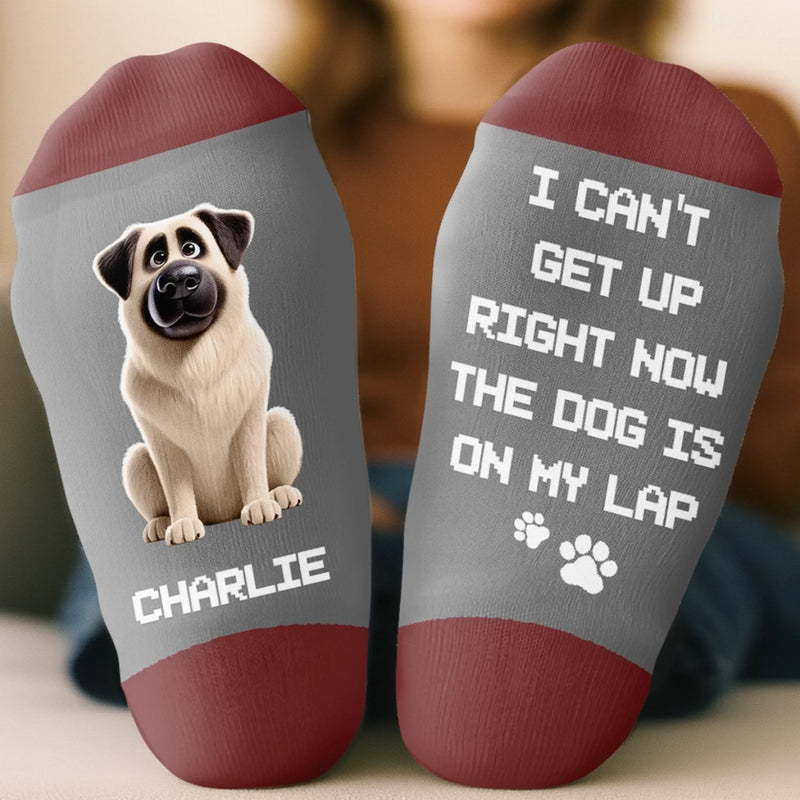 Custom Crew Socks - Personalized Birthday Gifts For Dog Lovers, Dog Dad And Mom - Every Day Is A Dog Day