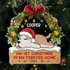 First Christmas, First Paws Under The Tree - Dog & Cat Personalized Custom Ornament - Acrylic Custom Shaped - Christmas Gift For Pet Owners, Pet Lovers, First Christmas