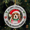 Custom Photo Metal Ornament - Personalized  Christmas Birthday Gifts For Dog Cat Lovers, Dog Dad And Mom, Cat Owners - Furever Family