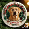Custom Photo Ceramic Ornament - Personalized Pet Memorial Sympathy Gifts For Dogs, Cats - Forever In My Heart