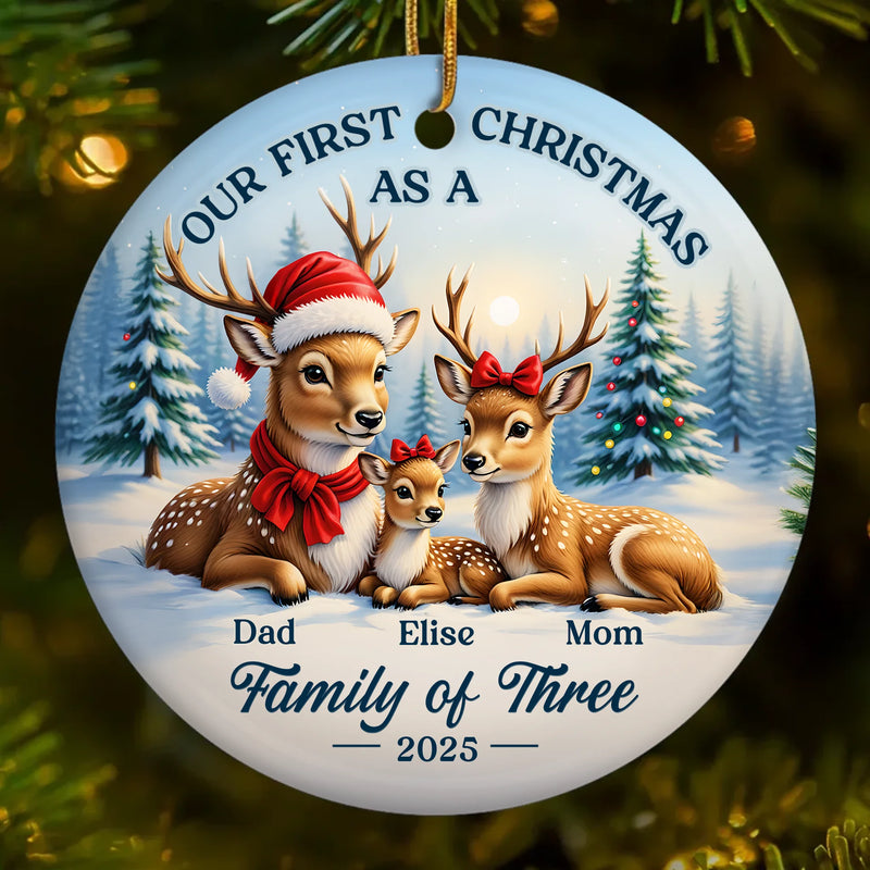Custom Name First Christmas Family Gifts - Personalized Ceramic Ornament
