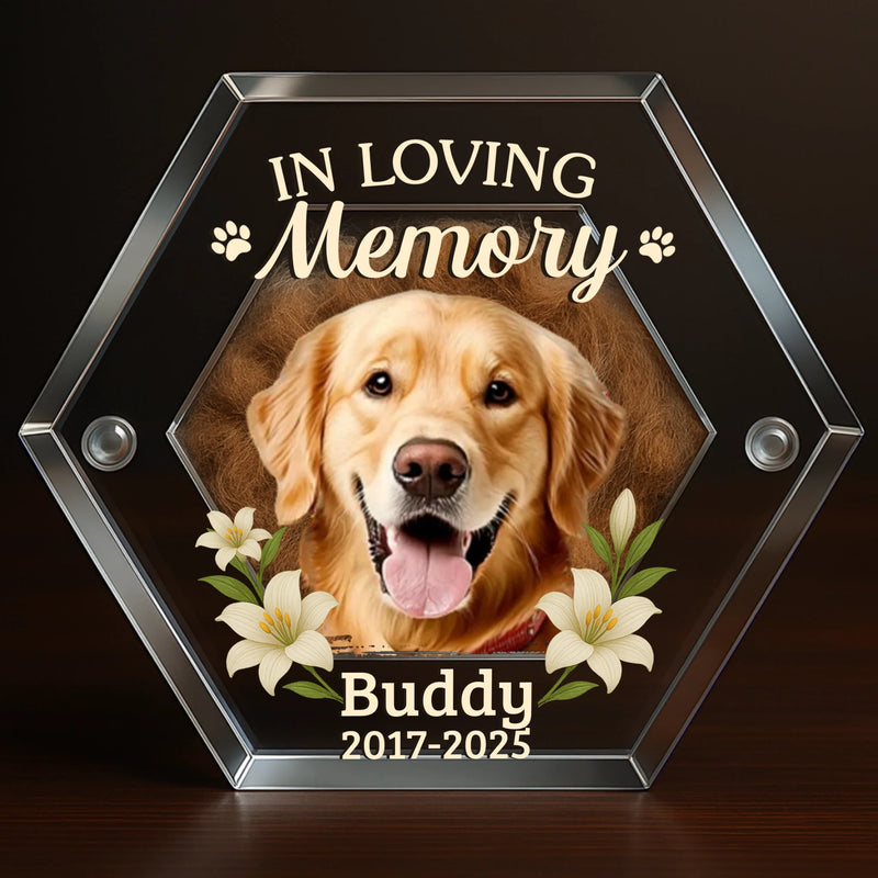 Custom Photo Acrylic Pet Fur Keepsake Box - Personalized Pet Memorial Sympathy Gifts For Dogs, Cats - Forever In My Heart