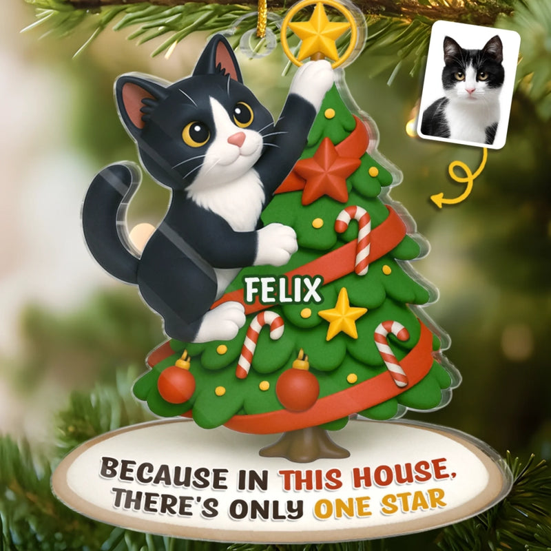 Custom Pet Photo Christmas Gifts for Cat Lovers - Personalized Ornament