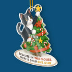 Custom Pet Photo Christmas Gifts for Cat Lovers - Personalized Ornament