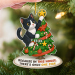 Custom Pet Photo Christmas Gifts for Cat Lovers - Personalized Ornament