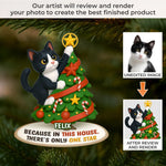 Custom Pet Photo Christmas Gifts for Cat Lovers - Personalized Ornament