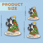 Custom Pet Photo Christmas Gifts for Cat Lovers - Personalized Ornament
