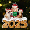 Custom Acrylic Ornament - Personalized Christmas Birthday Gifts For Dog Cat Lovers, Dog Dad And Mom, Cat Owners - Cold Nose Warm Hearts