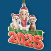 Custom Acrylic Ornament - Personalized Christmas Birthday Gifts For Dog Cat Lovers, Dog Dad And Mom, Cat Owners - Together Furever