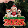 Custom Acrylic Ornament - Personalized Christmas Birthday Gifts For Dog Cat Lovers, Dog Dad And Mom, Cat Owners - Together Furever