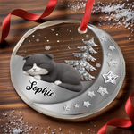 Custom Name Christmas Cat Gifts - Personalized Glass Ornament