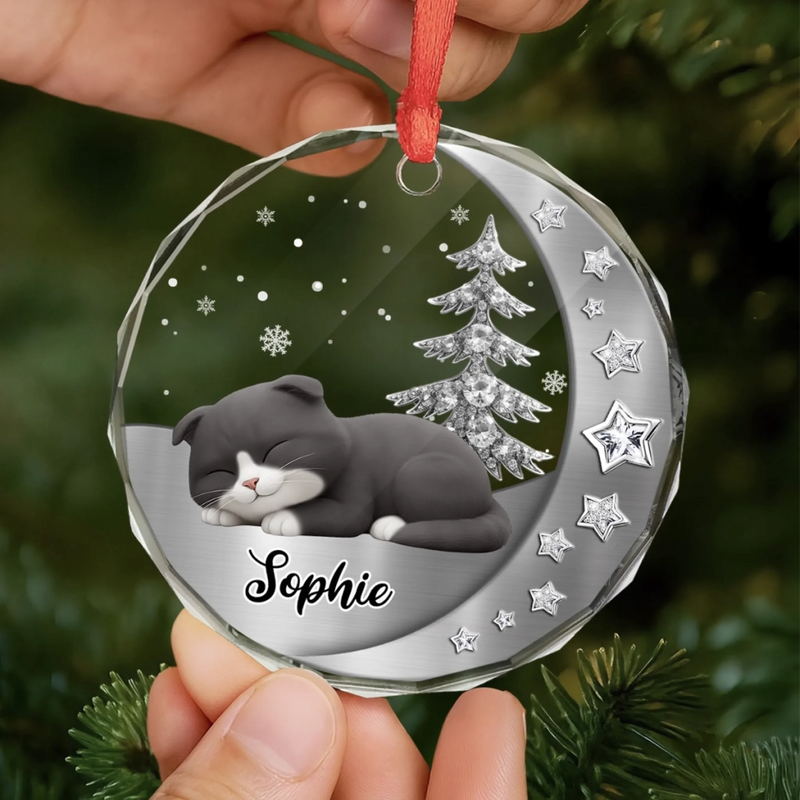 Custom Name Christmas Cat Gifts - Personalized Glass Ornament