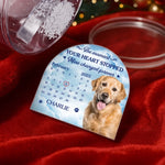 Custom Pet Photo Memorial Gifts - Personalized Acrylic Snow Globe