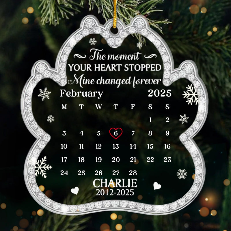 Custom Name Pet Memorial Gifts - Personalized Ornament