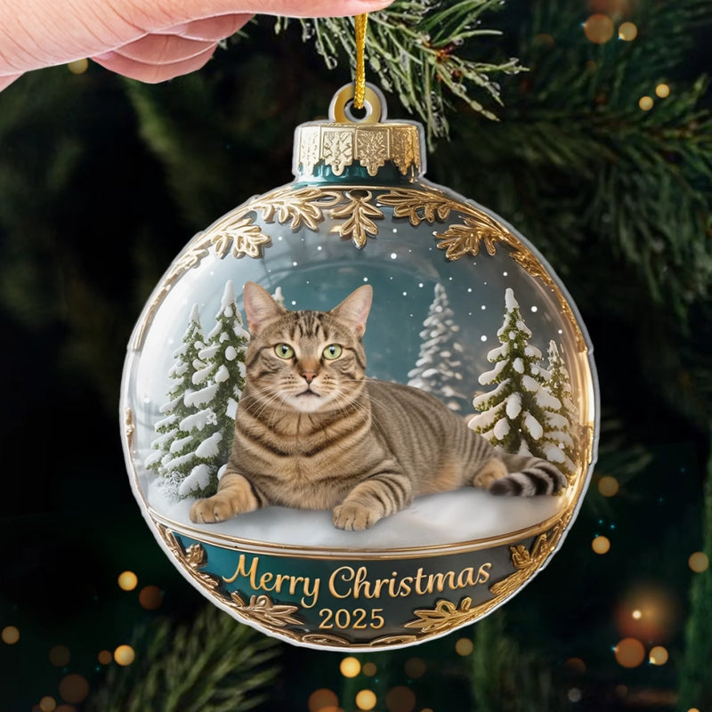 Custom Photo Acrylic Ornament - Personalized  Christmas Birthday Gifts For Dog Cat Lovers, Dog Dad And Mom, Cat Owners - Meowy Christmas, Hooman