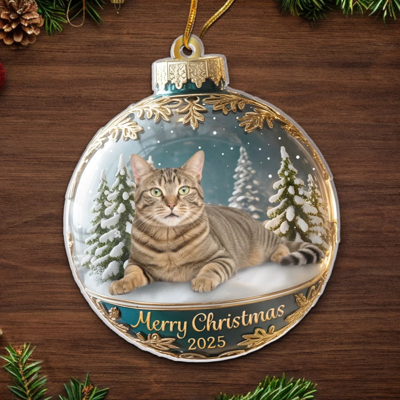 Custom Photo Acrylic Ornament - Personalized  Christmas Birthday Gifts For Dog Cat Lovers, Dog Dad And Mom, Cat Owners - Meowy Christmas, Hooman