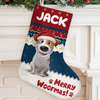 Custom Christmas Stocking - Personalized Christmas Birthday Gifts For Dog Cat Lovers, Dog Dad And Mom, Cat Owners - Frosty Fur Baby