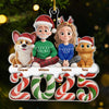 Custom Acrylic Ornament - Personalized Christmas Birthday Gifts For Family, Dog Cat Lovers - Our Cozy Little Crew