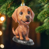 Custom Photo Labrador Retriever Acrylic Ornament - Personalized Christmas Birthday Gifts For Dog Cat Lovers, Dog Dad And Mom, Cat Owners - Cuteness Overload On The Tree