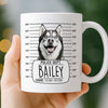 Custom Photo Mug - Personalized Birthday Gifts For Dog Cat Lovers, Dog Dad And Mom, Cat Owners - Serial Treat Killer