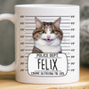 Custom Photo Mug - Personalized Birthday Gifts For Dog Cat Lovers, Dog Dad And Mom, Cat Owners - Serial Treat Killer