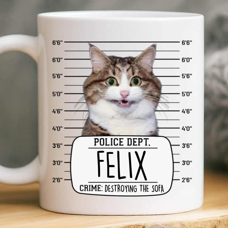 Custom Photo Mug - Personalized Birthday Gifts For Dog Cat Lovers, Dog Dad And Mom, Cat Owners - Serial Treat Killer