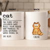 Custom Mug - Personalized Birthday Gifts For Cat Lovers, Cat Mom And Dad - Chaos In Fur Form