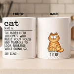 Custom Name Funny Cat Gifts for Cat Lovers - Personalized Mugs
