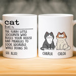 Custom Name Funny Cat Gifts for Cat Lovers - Personalized Mugs
