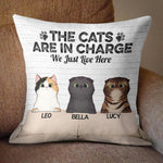 Custom Name Funny Cat Gifts for Cat Lovers - Personalized Pillow