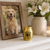 Custom Photo Memorial Urn - Personalized Pet Memorial Sympathy Gifts For Loss Of Dog, Cat – Rest In Love