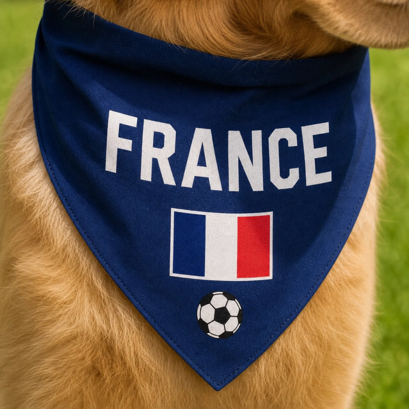Custom World Football Pet Bandana - Personalized Birthday Gifts For Football Dog Cat Lovers, Dog Dad And Mom, Cat Owners - Epic Dog Squad