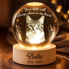 Custom Photo Crystal Globe Lamp - Personalized Pet Memorial Sympathy Gifts For Dogs, Cats - Never Gone From Heart
