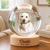Custom Photo Crystal Globe Lamp - Personalized Pet Memorial Sympathy Gifts For Dogs, Cats - Never Gone From Heart
